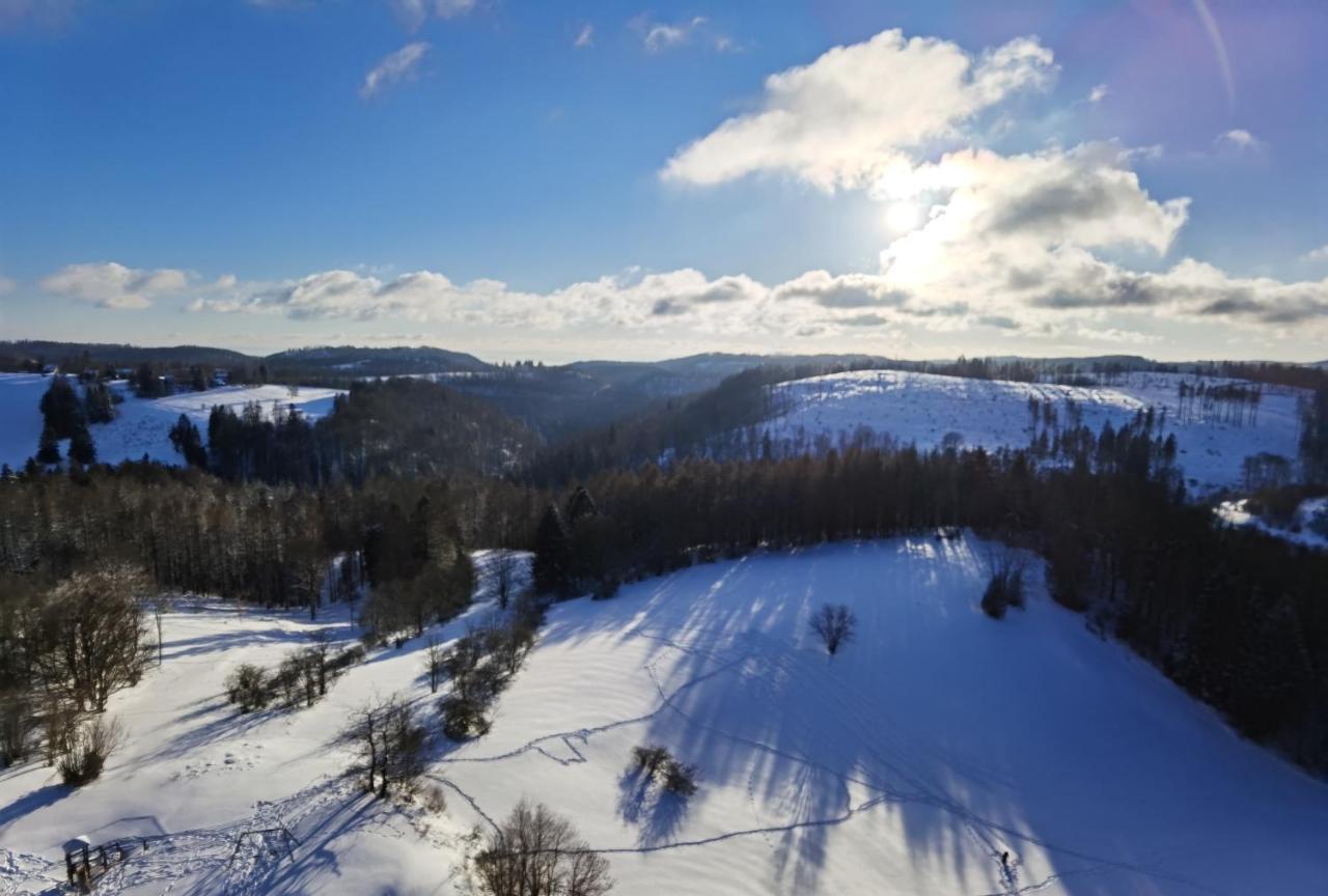 Apartamento Penthouse Harz-Traum 372 Hohegeiß Exterior foto